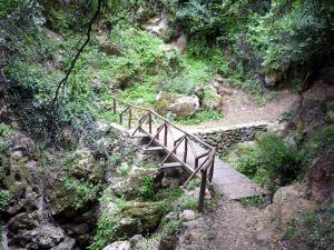 puente final garganta