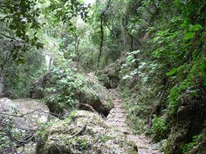 recorrido boriano