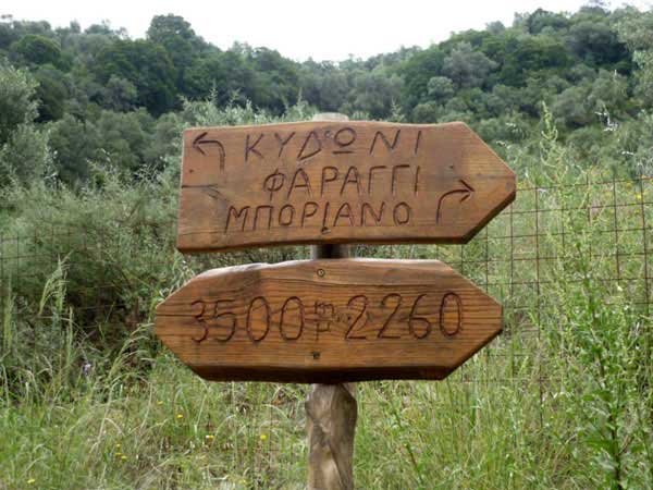 garganta boriano y kidoni