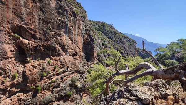 Vista garganta Lisos