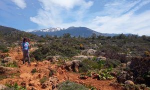camino garganta Lisos