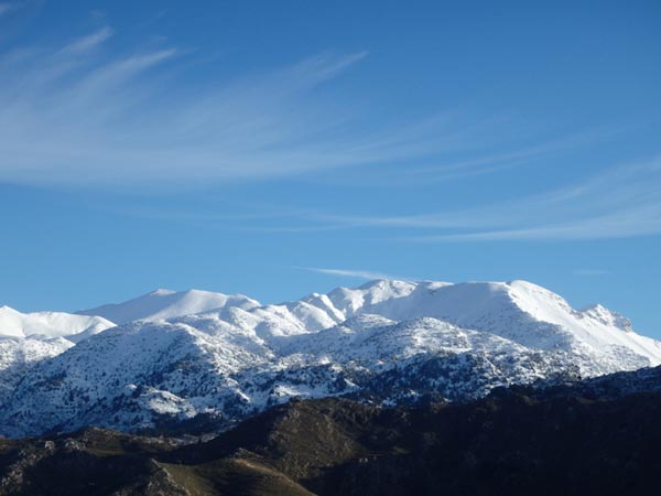leuka ori invierno