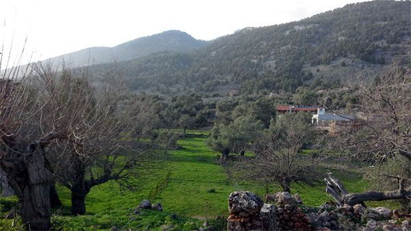 Anopoli