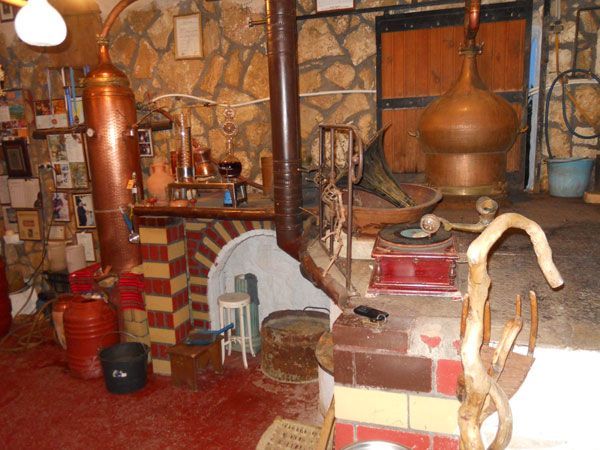 Vista bodega