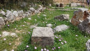 Templo de Lisos, Creta