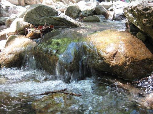 rio agia irini primavera