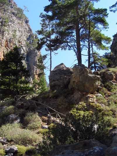 camino agia irini sougia