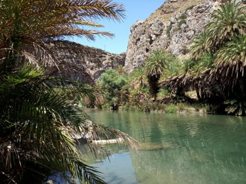 Palmeral de Preveli