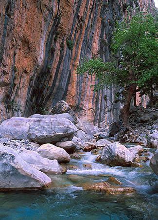 samaria rio
