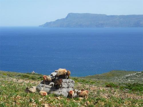 costa sur sfakia
