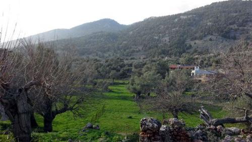 sfaradena5