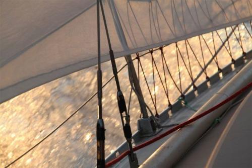 excursiones velero